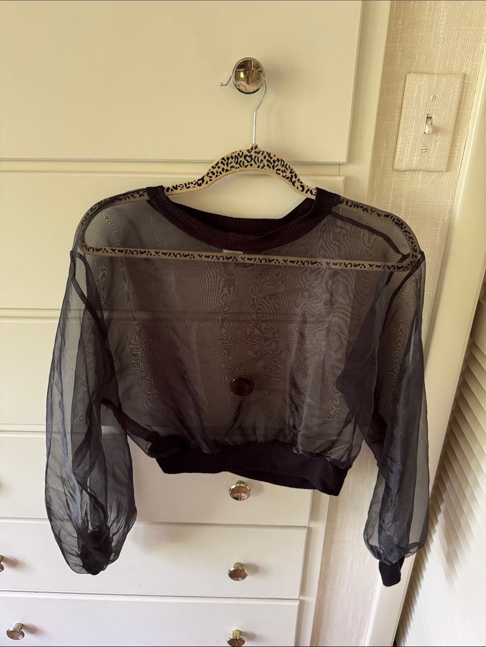 Toska Sheer Black Mesh Long Sleeve Crop Pullover